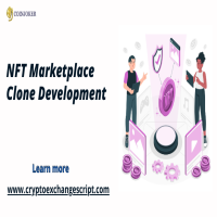 Why NFT Marketplace Clone Had Been So Popular Till Now